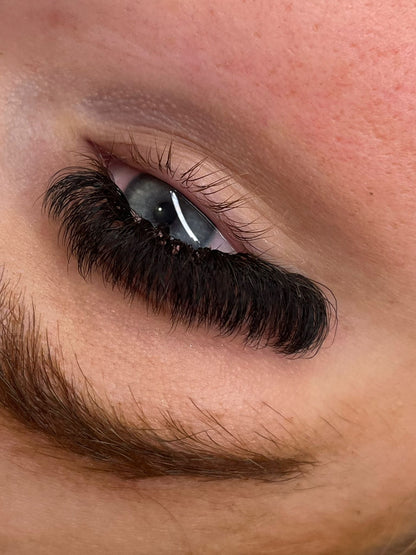 10D Clover Lashes Single Length