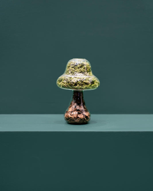 Moss Mushroom - Tall - Bark