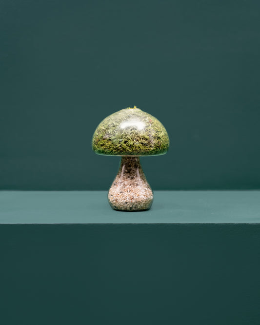 Moss Mushroom - Round - Light Stone
