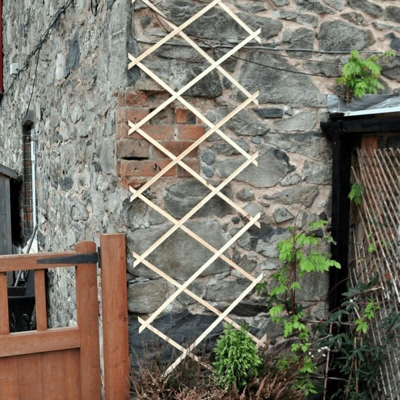 Expanding Wooden Garden Trellis Plant Flower Support Climber Screening 180x60