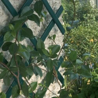 Expanding Garden Trellis Wooden Plant Flower Support Screen Panel Wall Green 180 x 60cm