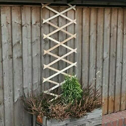 Expanding Wooden Garden Trellis Plant Flower Support Climber Screening 180x60