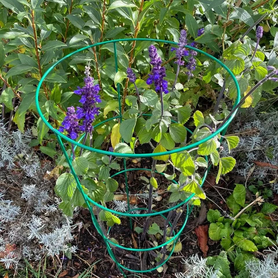 5pc Conical Plant Supports Trellis Garden Climbing Cage