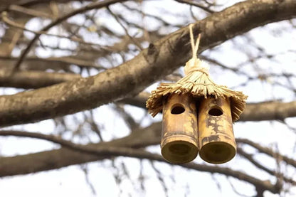 Tiki Hanging Bird Nest Box