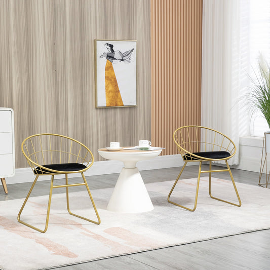Modern Dining Chairs Set of 2