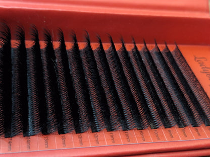 10D Clover Lashes Single Length