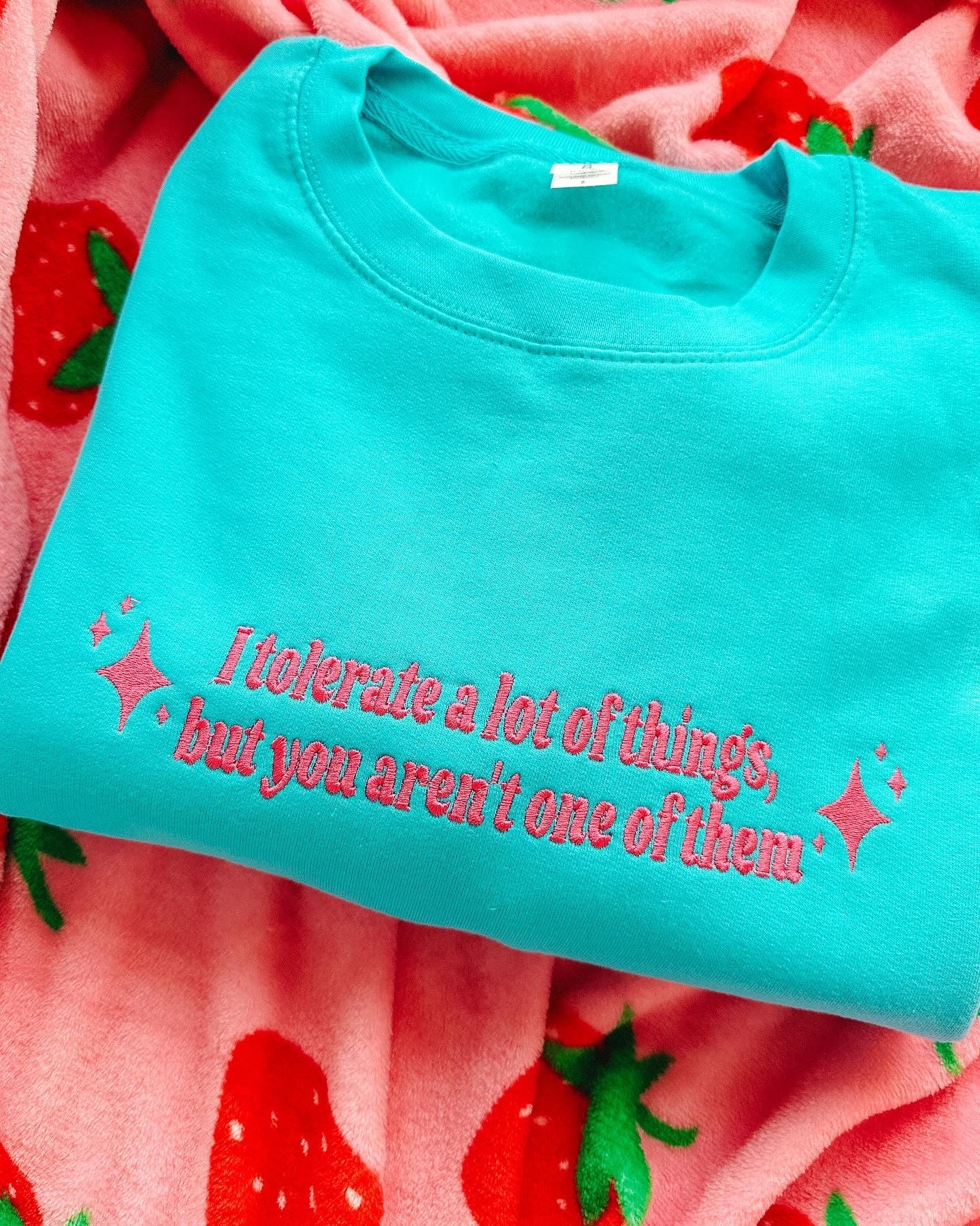 I Tolerate A Lot Of Things, But You Aren't One Of Them embroidered crewneck sweatshirt