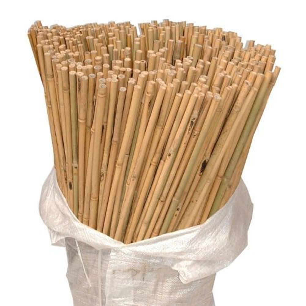 Bamboo Garden Canes - 10 x 6FT (180cm), Quality & Eco-Friendly