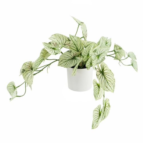 30cm Artificial Trailing Plant Variegated Potted Alocasia