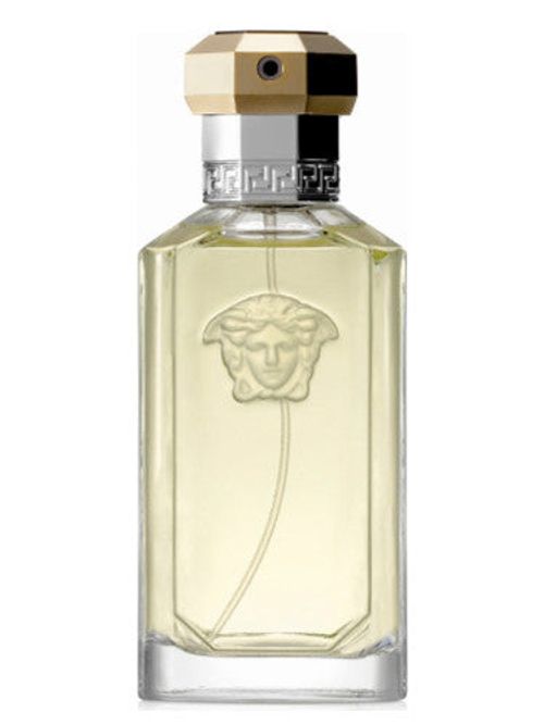 Versace The Dreamer Eau De Toilette Spray 100ml