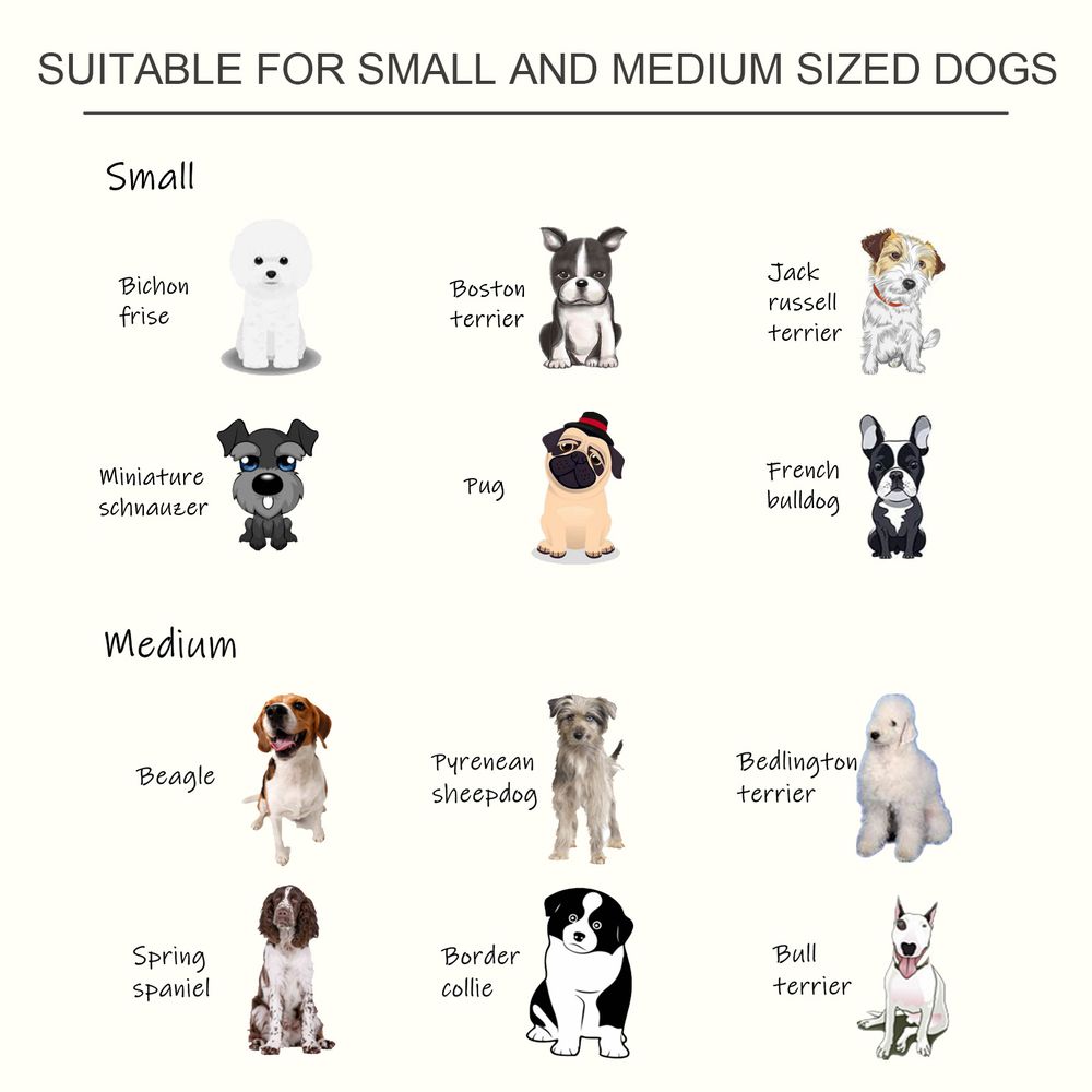 PawHut Stainless Steel Raised Dog Feeding Bowls with Stand for Extra Small and Small Dogs Elevated Twin Pet Bowls Water Food Feeder 58L x 31W x 25H cm - White