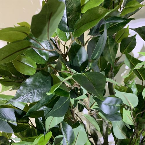 100cm Premium Artificial Ficus Twist Tree Gold Curve Planter