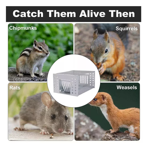 Rat Mice Mouse Traps Cage Catcher Humane Large Pest Rodent Mousetrap Resuable