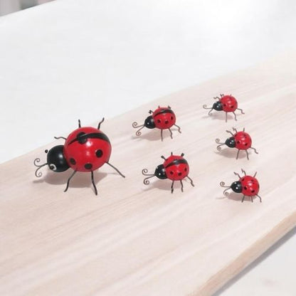 23/12/10CM SET 6 LADYBIRDS