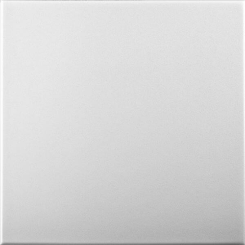 White Blank: Decorative Ceiling & Wall Panels - 2m2 (21.52 sqft) - 8 Panels
