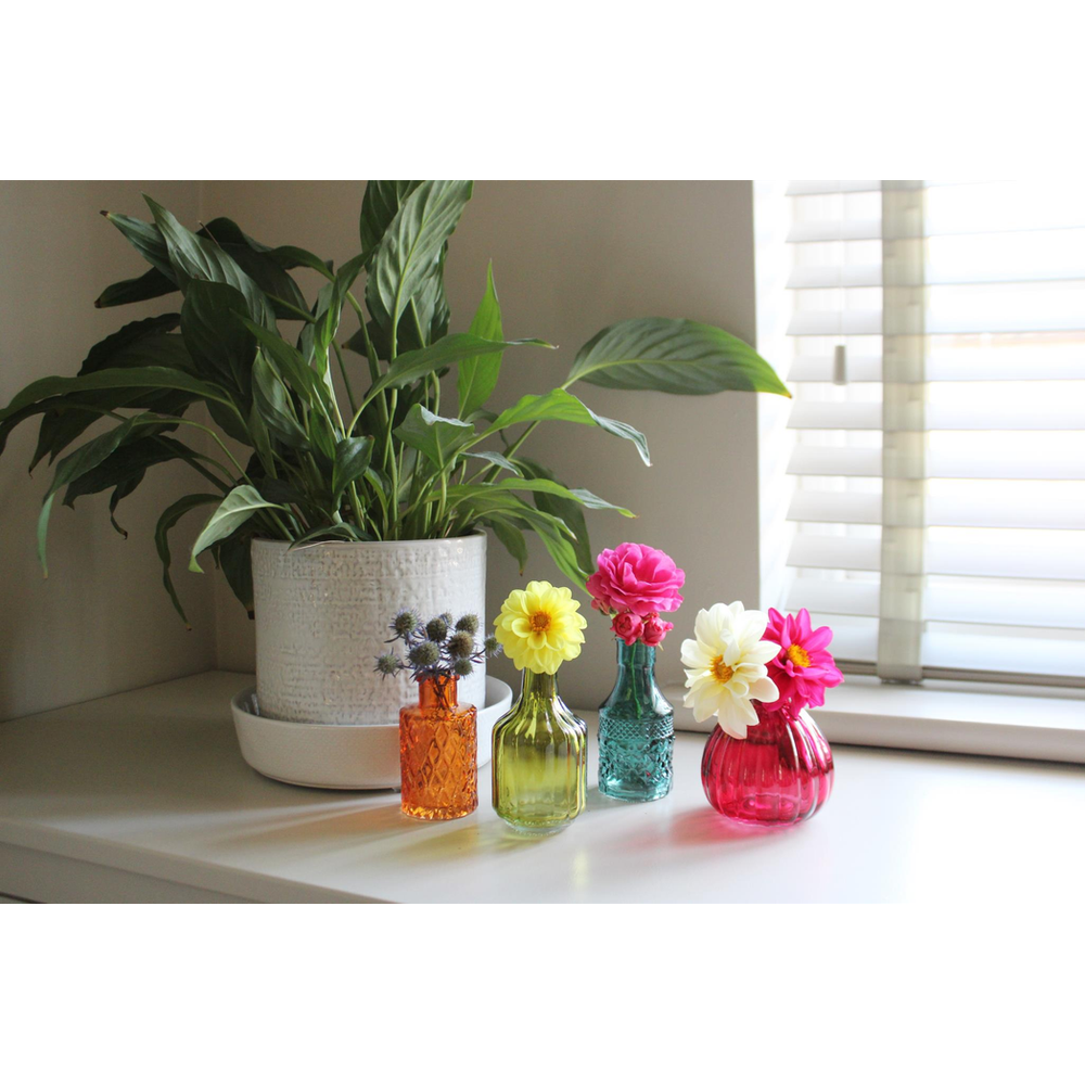Premium Boho Posy Vase Bottles - Set of 4 | High-quality Glass | Stunning Décor