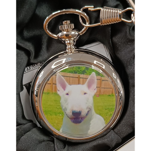 Boxx Picture Pocket watch Dog  P5061.116
