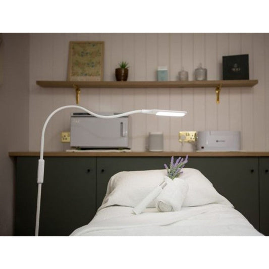 Lumina Floor Lamp
