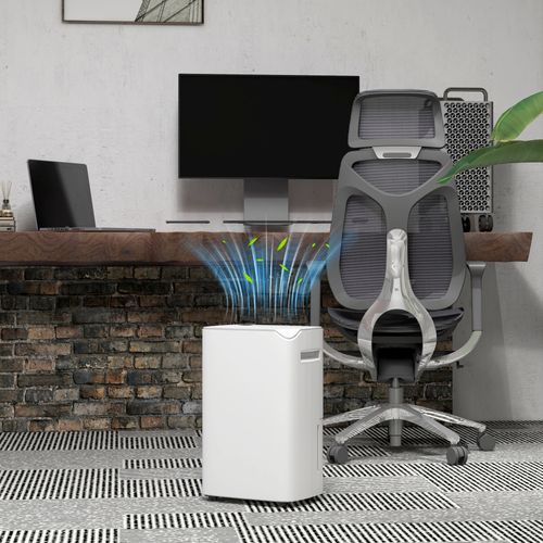 Homcom 20L/Day Small Dehumidifier for Home Damp Laundry, with 24H Timer