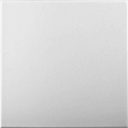 White Blank: Decorative Ceiling & Wall Panels - 2m2 (21.52 sqft) - 8 Panels