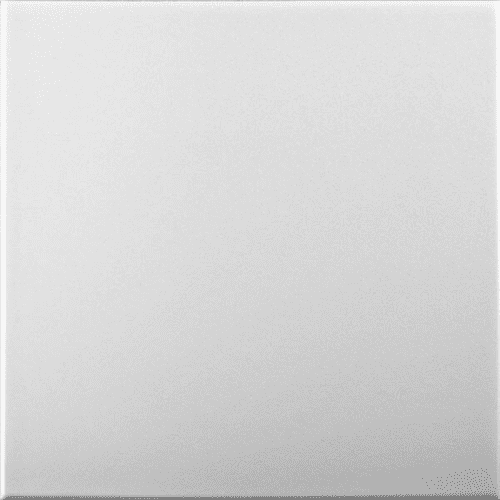 White Blank: Decorative Ceiling & Wall Panels - 2m2 (21.52 sqft) - 8 Panels