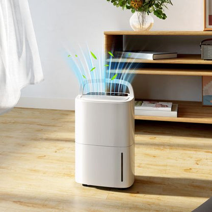 Homcom 20L/Day Dehumidifier with Continuous Drainage, 5L Water Tank, Timer