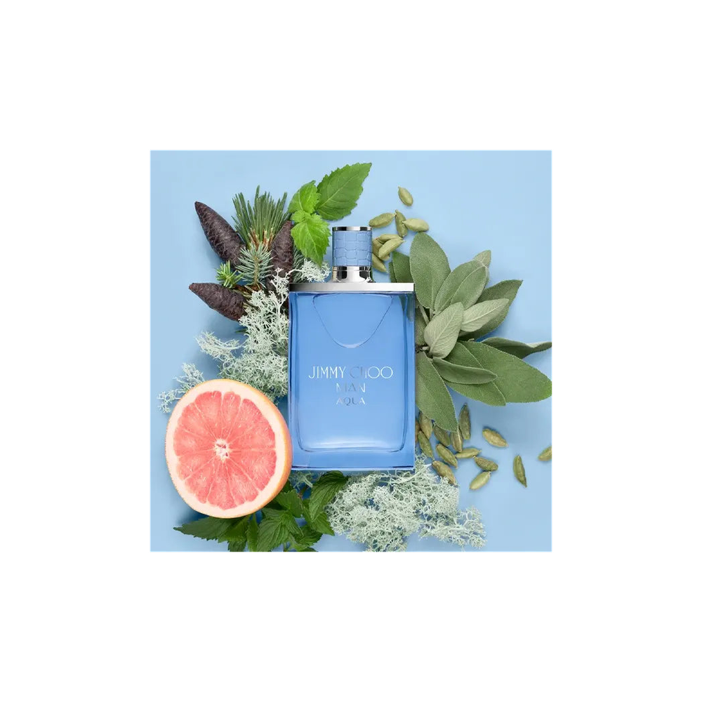 Jimmy Choo Man Aqua Eau De Toilette Spray 30ml