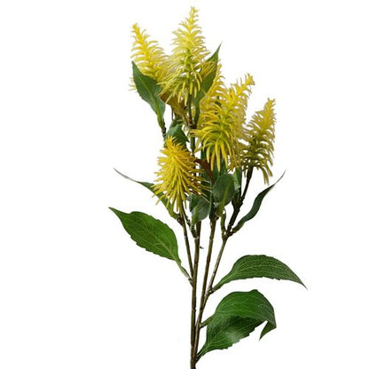 Pack of 6 x 55cm Callistemon Pallidus Yellow Bottle Brush Stem