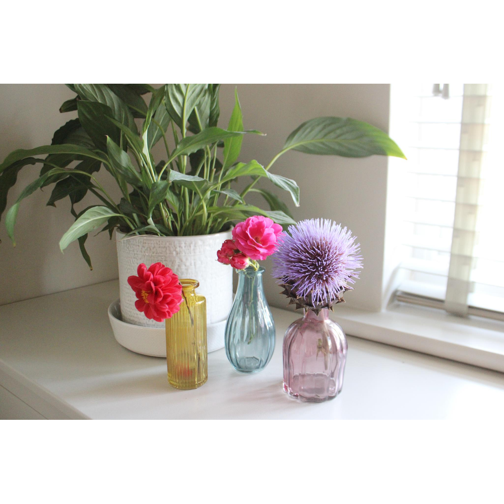 Premium Boho Glass Vases - Set of 3 | Colorful & Elegant Décor