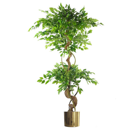 150cm Twisted Trunk Artificial Japanese Ficus Tree - High Quality Gold Planter