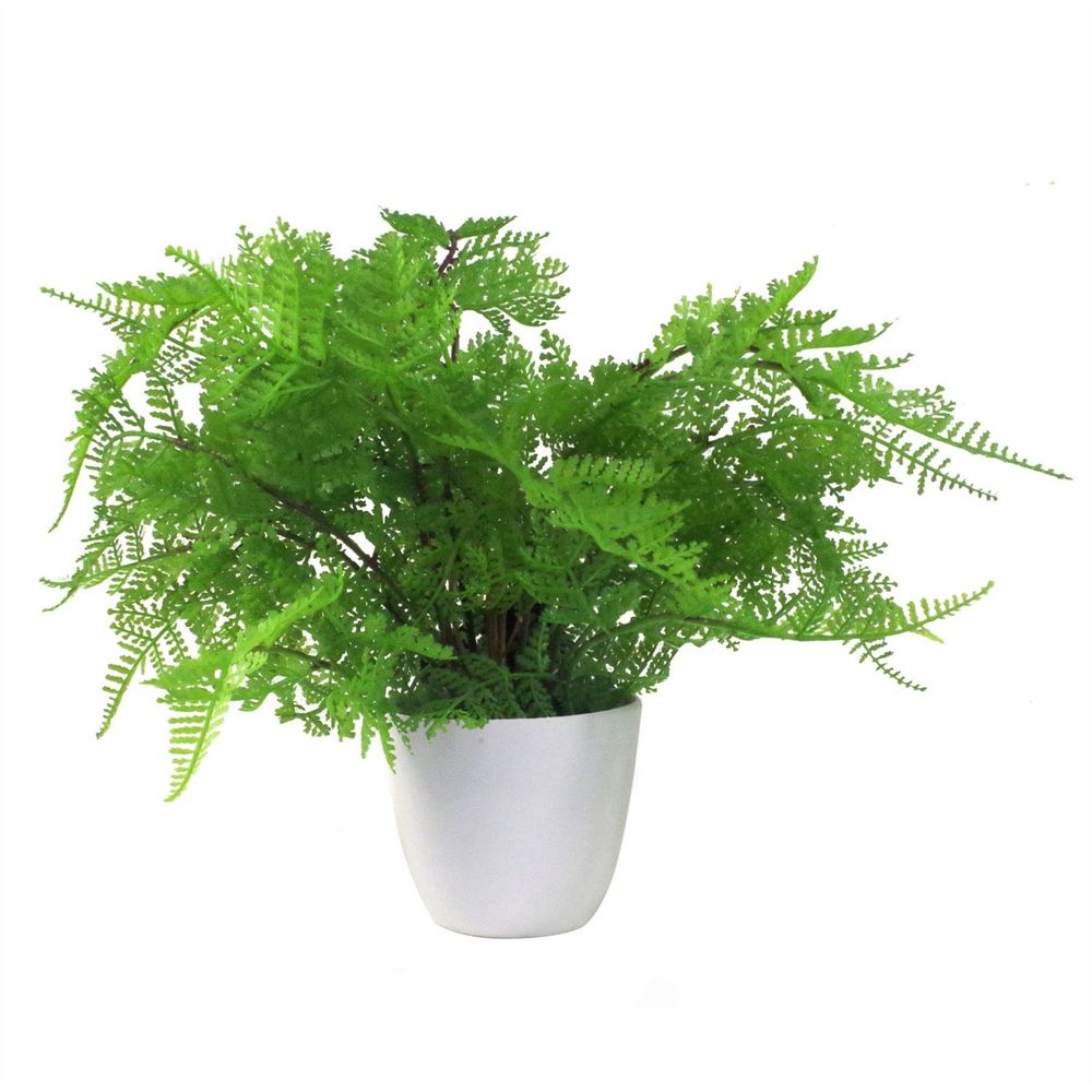 Realistic 30cm Artificial Potted Lady Fern - High Quality Foliage in Plastic Weighted Pot - Leaf Design UK