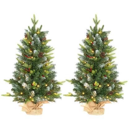 Homcom 2 Pieces 2' Prelit Artificial Tabletop Christmas Trees, LED Display