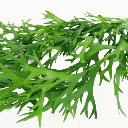 Pack of 6 x 80cm Hanging Artificial Staghorn Fern