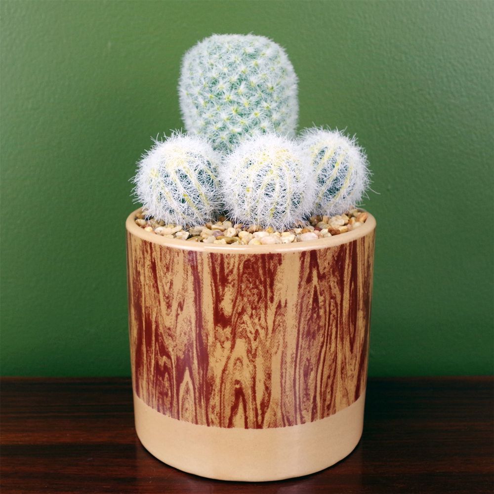 20cm Artificial Cactus Plant in Ceramic Planter