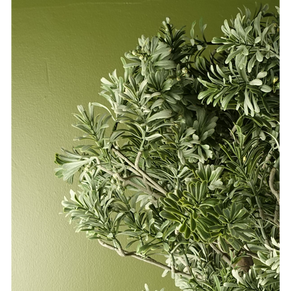Premium Artemisa Evergreen Shrub - Lifelike & Durable - 70cm Tall