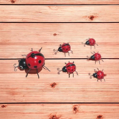 23/12/10CM SET 6 LADYBIRDS