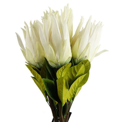 Pack of 6 x 65cm Protea Sugarbush Flower Stem - White