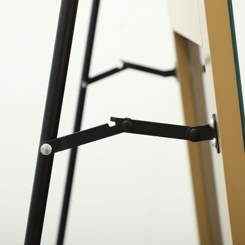 Homcom Floor Mirror Wall Mount Leaning Standing Mirror 50 x 150cm Gold Tone