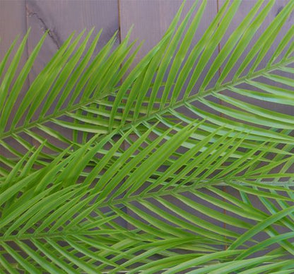 Pack of 12 x 120cm Artificial Hanging Palm Plant
