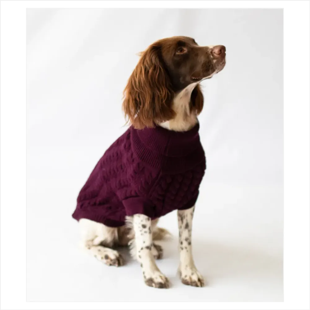 The Rascal Dog Jumper in Grape - Stock Replenishment, all sizes - Professional Quality