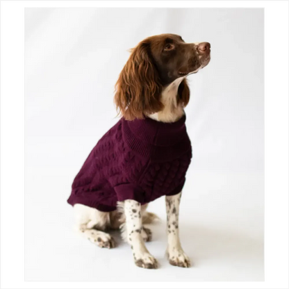 The Rascal Dog Jumper in Grape - Stock Replenishment, all sizes - Professional Quality