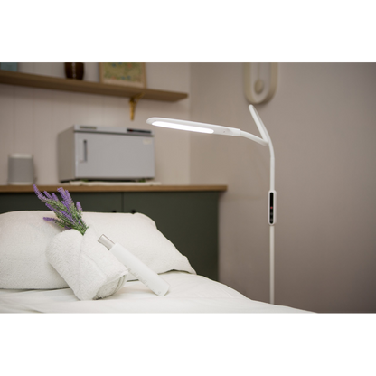 Lumina Floor Lamp
