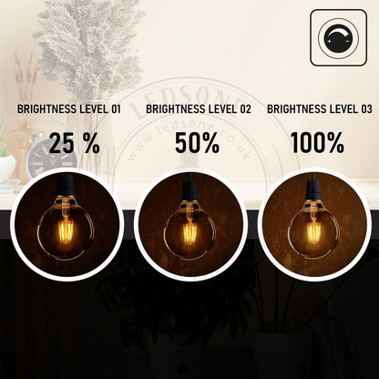 6 Pack E27 LED Edison Dimmable Vintage Amber Glass Warm white 2700K Light Bulbs