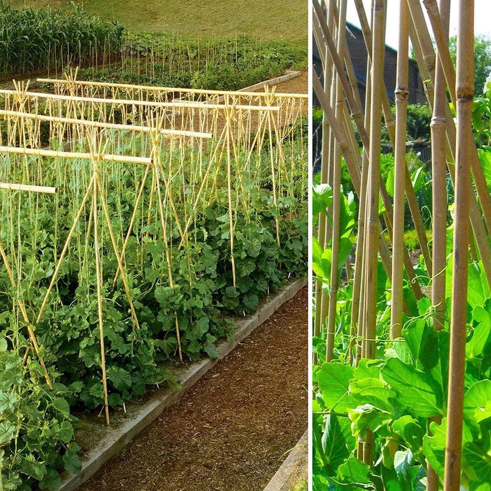 200 x 3FT Bamboo Canes Sticks 90CM - Versatile, Eco-friendly Garden Decor for Privacy, Shade, and More