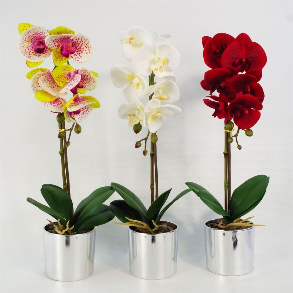 Premium Quality 46cm Artificial Orchid in Harlequin Pink - Silver Pot