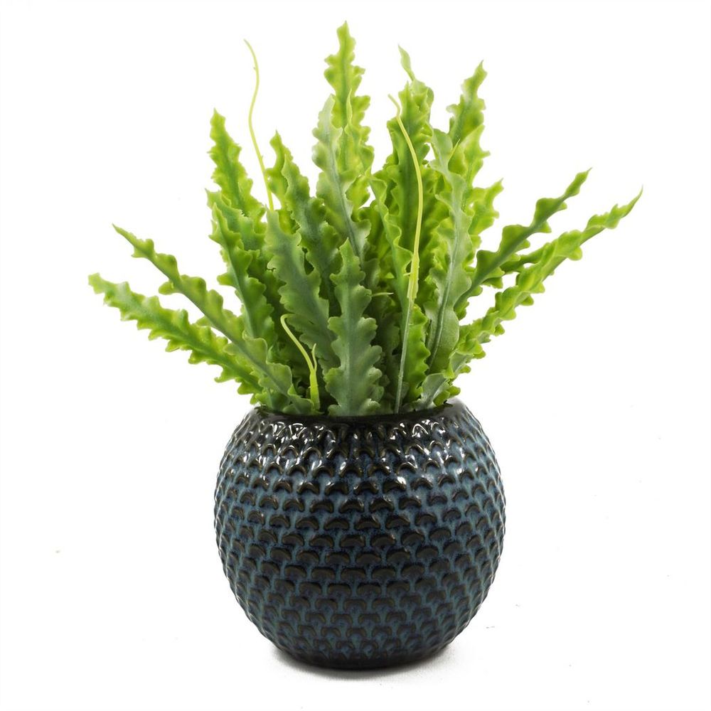 Elegant Blue Ceramic Plant Pot - 15x15x12.5cm