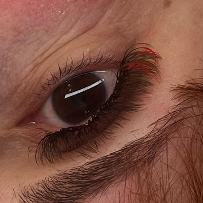 🌈 Bold Colour Volume Lashes 🌈 0.05mm • 5-Row Tray • 10–14mm Mix